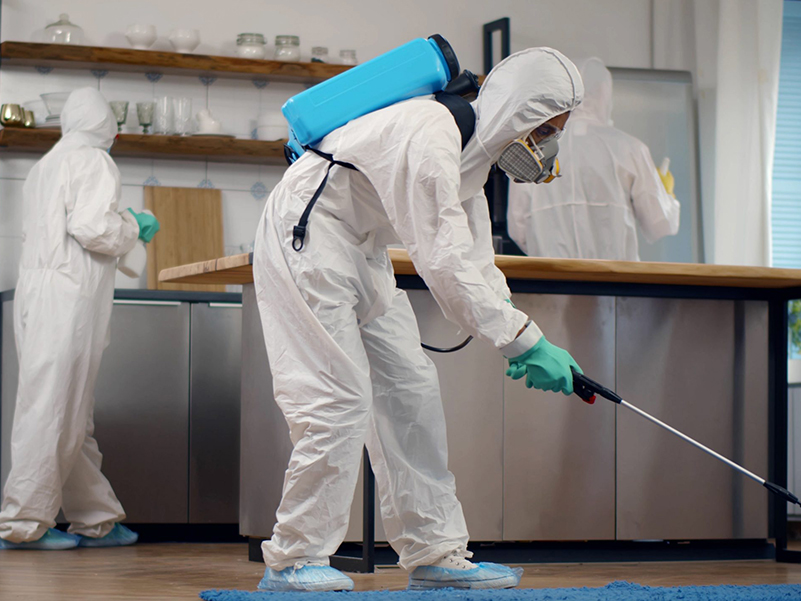 لیست شرکت های سمپاشی و فروش سم در کرمانشاه