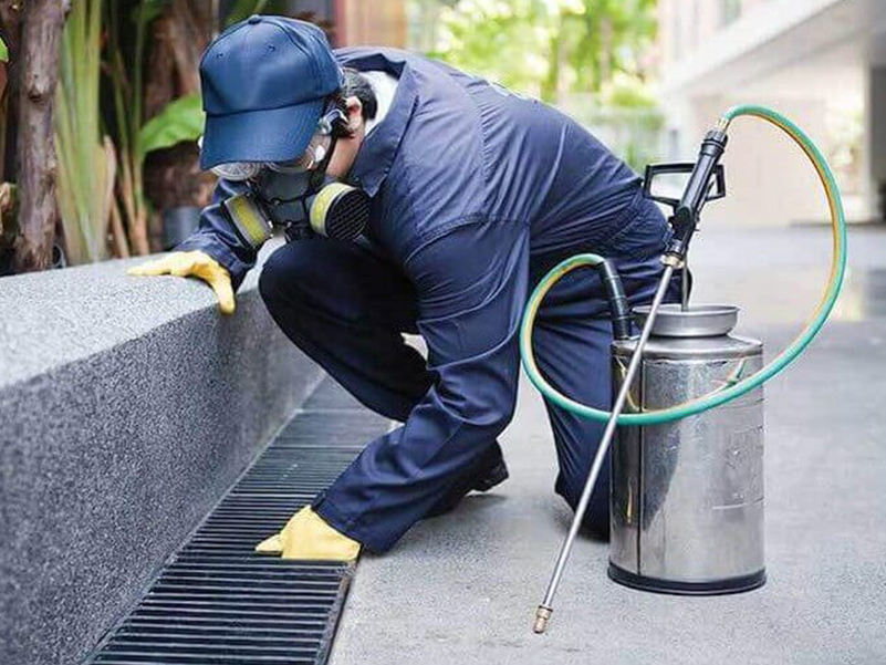 لیست شرکت های سمپاشی و فروش سم در ساری