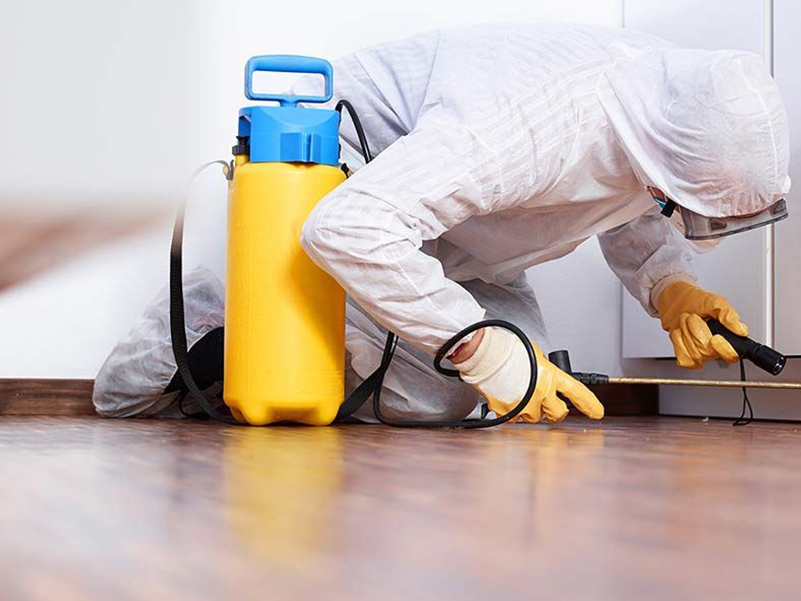 لیست شرکت های سمپاشی و فروش سم در سنندج