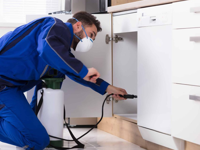 لیست شرکت های سمپاشی و فروش سم در قزوین